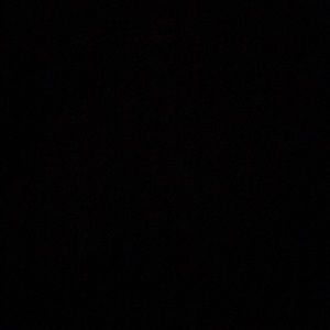 Meet your Posher, Bree